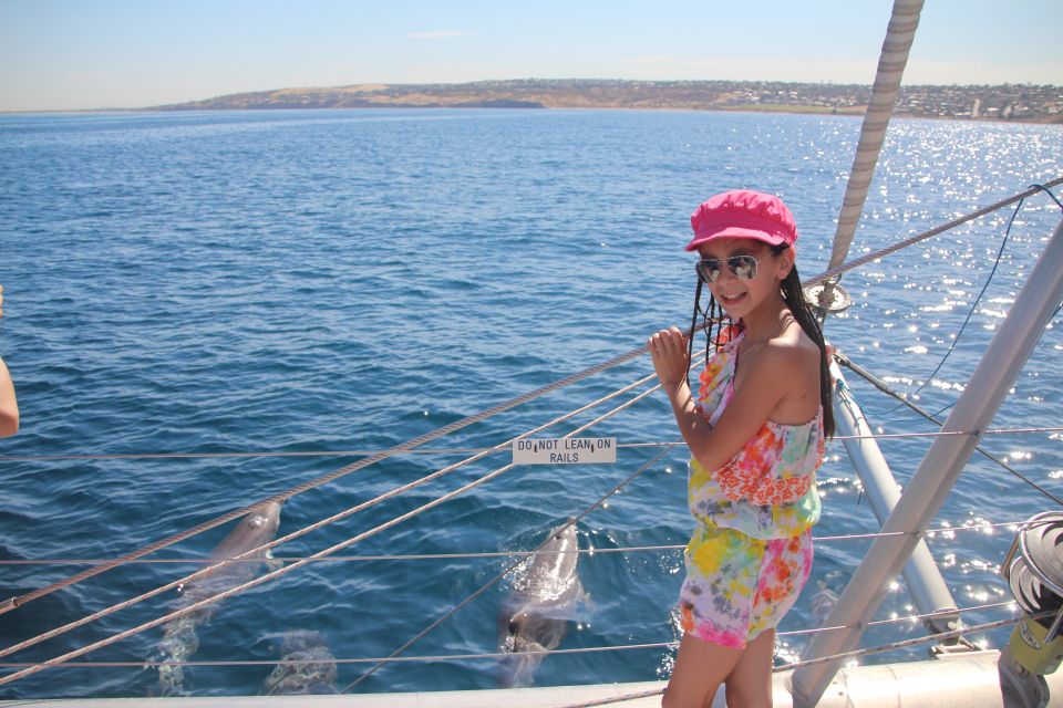 Adelaide: 3.5-Hour Guaranteed Wild Dolphin Watching Cruise - Customer Reviews