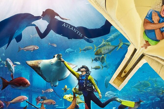 Admission Tickets Aquaventure and Lost Chambers Aquarium Dubai - Lost Chambers Aquarium Highlights