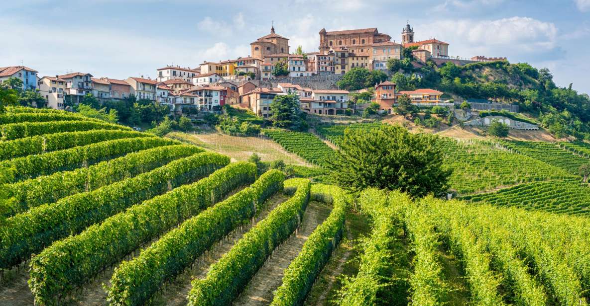 Alba: Barolo Castle, Alfieri Vineyards, and Truffle Lunch - Exploring Marchesi Alfieri Vineyards