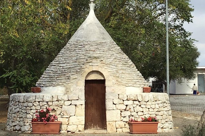 Alberobello With a Local Tour Guide! - Tour Experience Insights