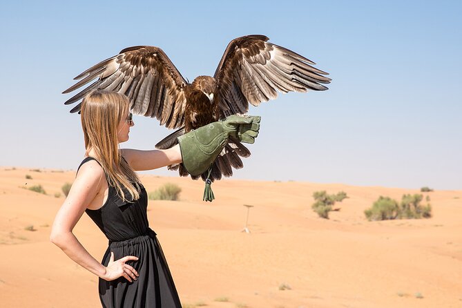 Amazing Desert Safari With BBQ Dinner, Dubai - Booking Details and Pricing