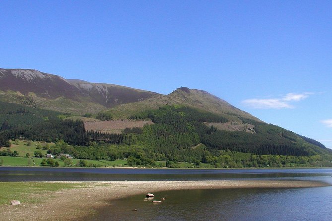 Ambleside Woodland Walking Tour  - Windermere - Booking Details