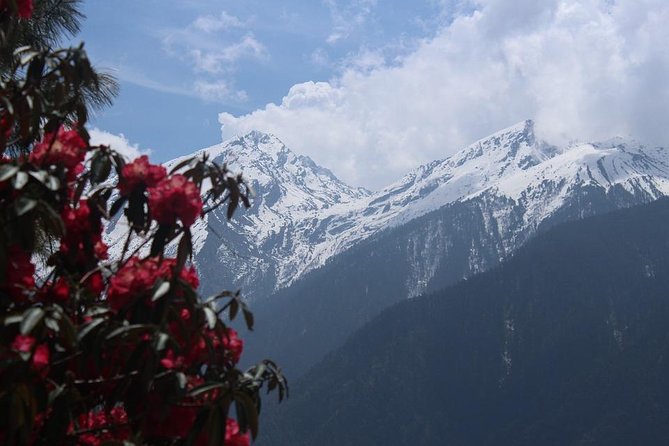 Annapurna Circuit Trail (Best Trekking Experience in the World) - Landscape Diversity