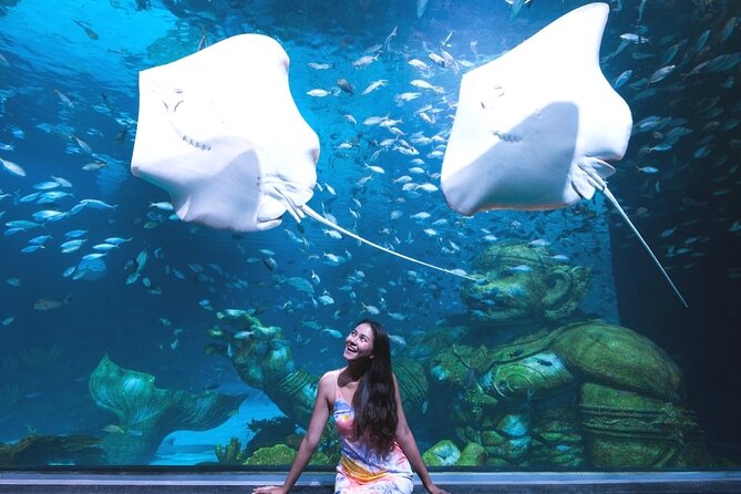 AquARia Phuket and AR Trick Eye Museum Entrance Ticket - Thailand - Key Features of the Attractions