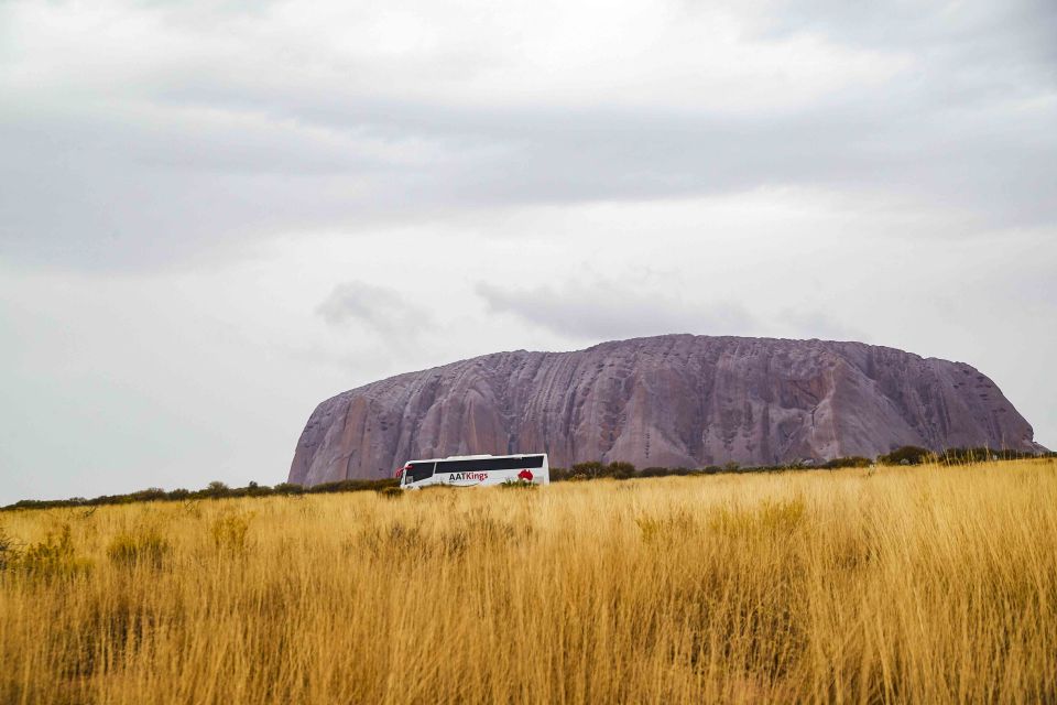 Ayers Rock To Kings Canyon Luxury Bus Transfers - Language and Accessibility