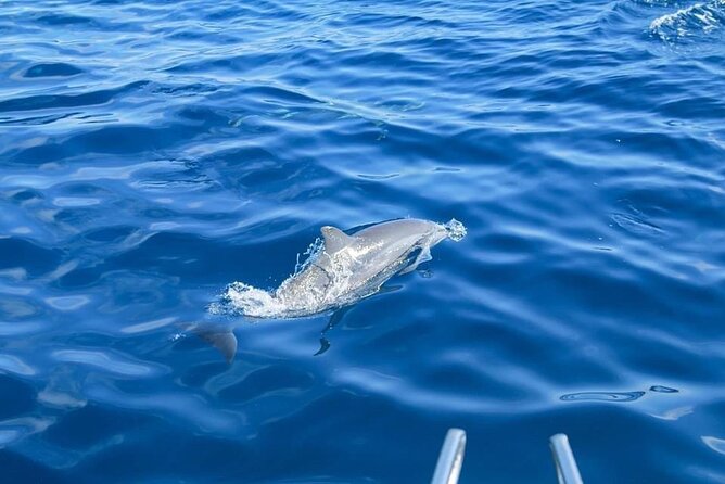 Best of Similan Islands Snorkeling Tour by Speedboat - Snorkeling Spots Exploration