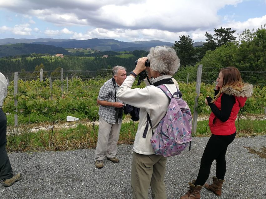 Bilbao: Organic Winery Visit With Tasting - Meet the Winemaker