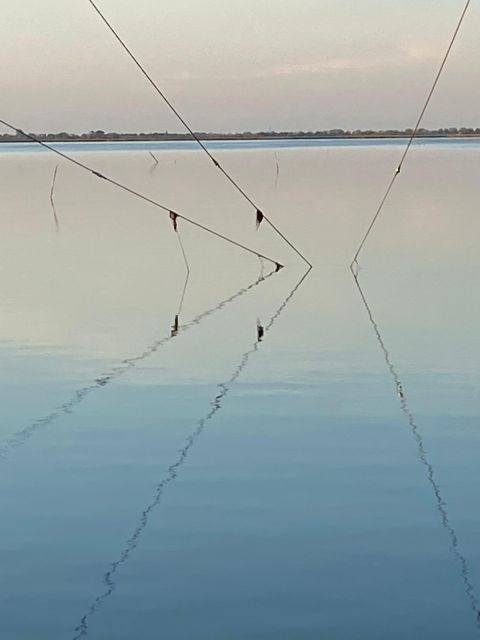 Birdwatching: in Laguna Di Venezia - Equipment Needed for Birdwatching