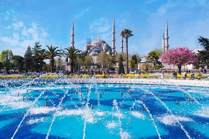 Blue Mosque and Sultanahmet Tour - Visitor Experience