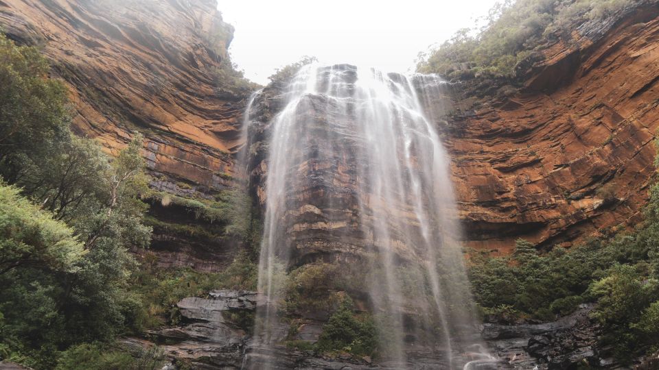 Blue Mountains Private Charter - Experience Highlights