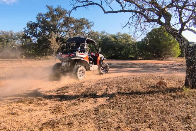 Buggy Quest - 1 Hour Off-Road Guided Tour From Albufeira - Participant Requirements