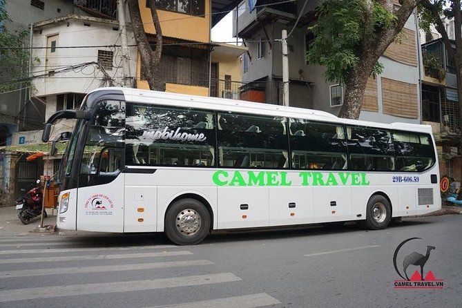 Bus Ticket Ninh Binh to Phong Nha - Pricing and Reviews