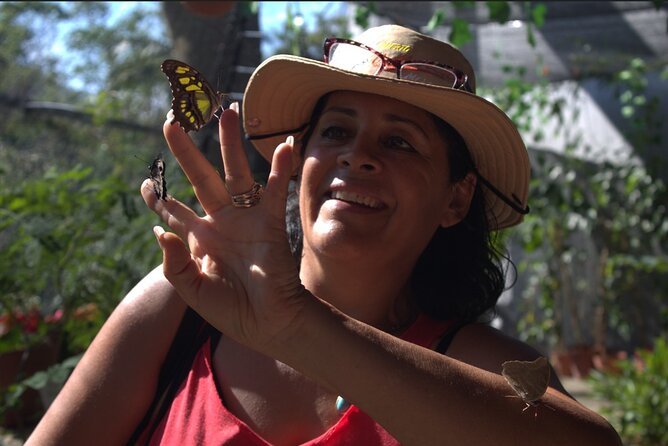 Butterflies, Tequila and Beach: an Unforgettable Day in Puerto Vallarta - Traveler Experiences