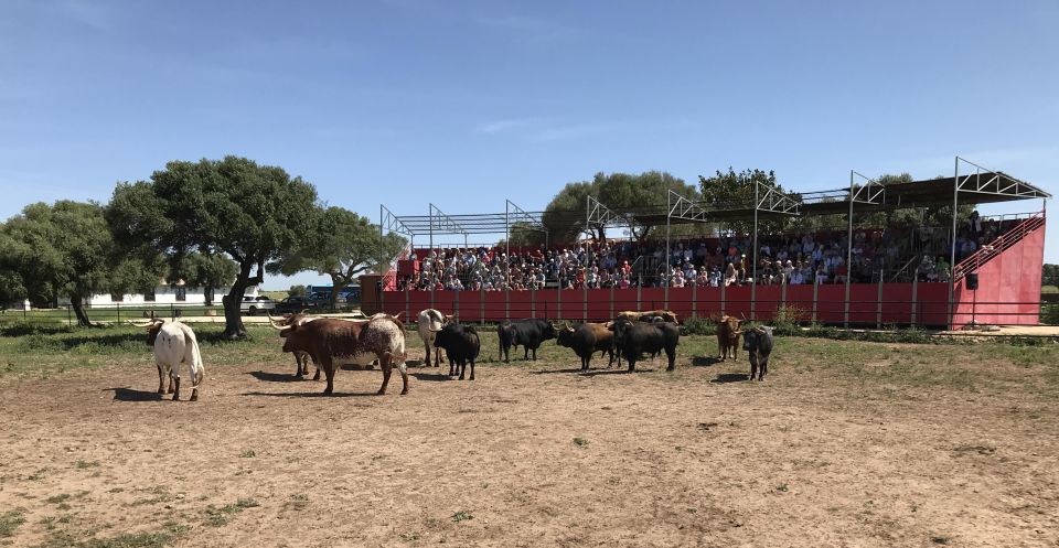 Cadiz: Andalusian Horses and Bulls Country Show - Ticket Information