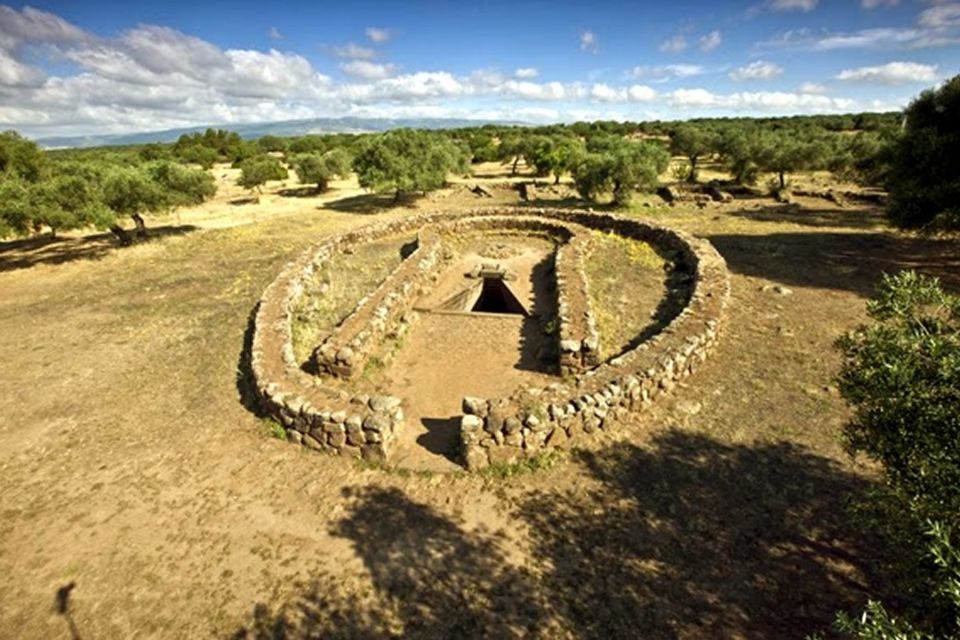 Cagliari: Full-Day Tour to Well Temple & Cabras Museum - Activity Description