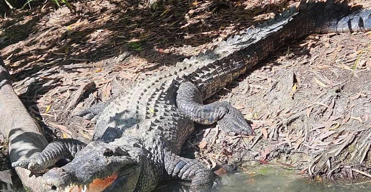 Cairns: Hartleys Crocodile Adventures Transfers and Return - Booking Information