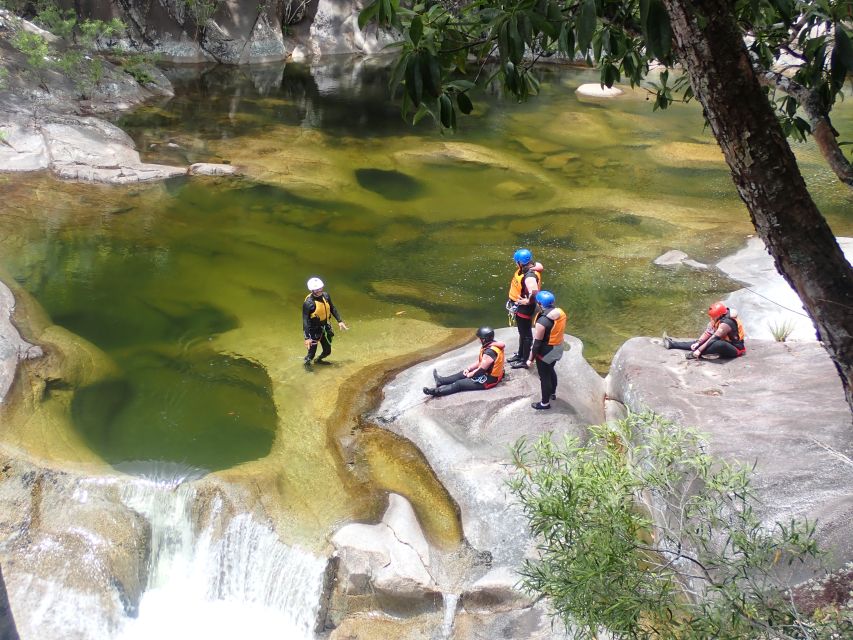 Cairns: Waterfalls Rainforest Experience - Experience Highlights