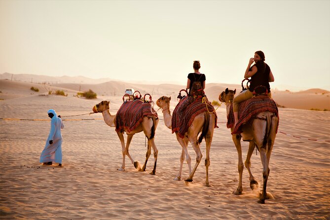 Camel Trekking in Abu Dhabi - Booking Details