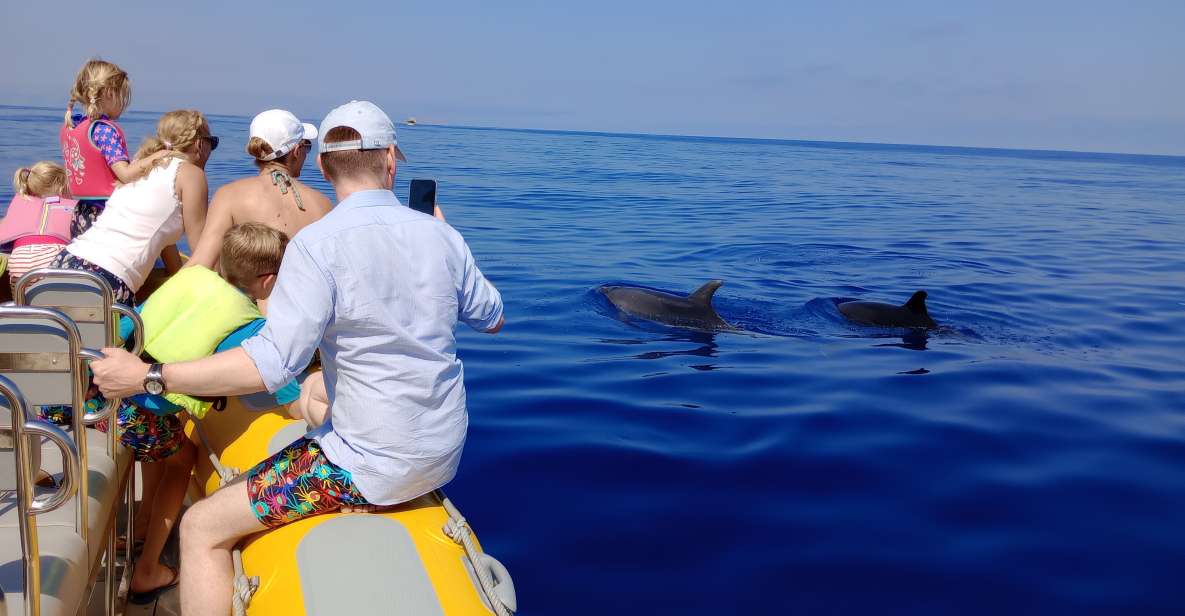 Can Picafort: Dolphin Watching Boat Tour With Swimming - Boat Tour Highlights