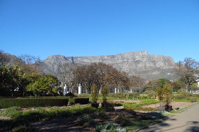 Cape Town: Garden Tour to Company's Garden and Ardene Garden - Pickup Logistics