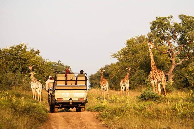 Cape Town - Overnight Inverdoorn Safari Game Reserve - Cancellation Policy