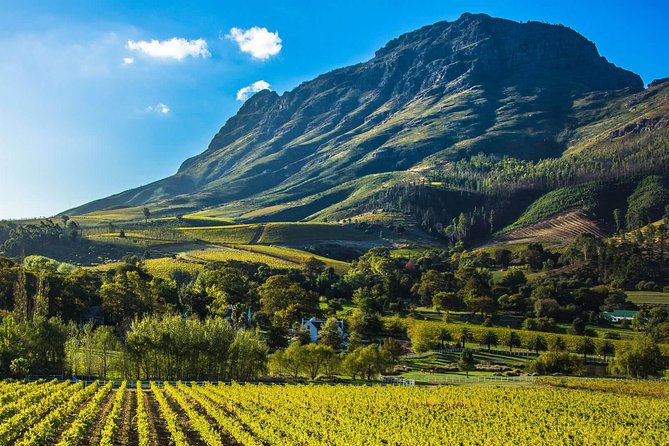 Cape Town Private Tour, Table Mountain Car & Constantia Wine Tasting - Common questions