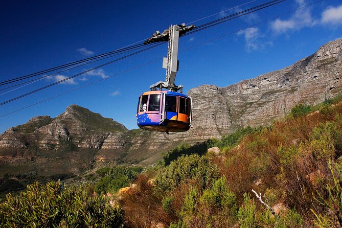 Cape Town Table Mountain Cape Point Penguins Full-Day Private Tour - Inclusions and Exclusions