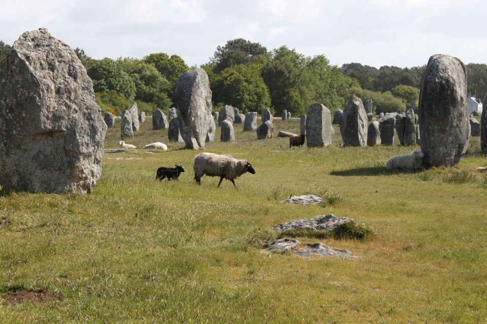 Carnac: Carnac Stones 40-Minute Audio-Guided Bus Tour - Booking Information