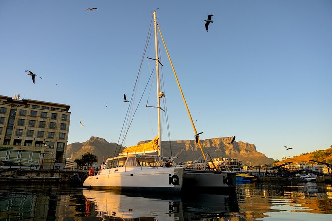 Catamaran Cruise in Cape Town - Inclusions and Logistics