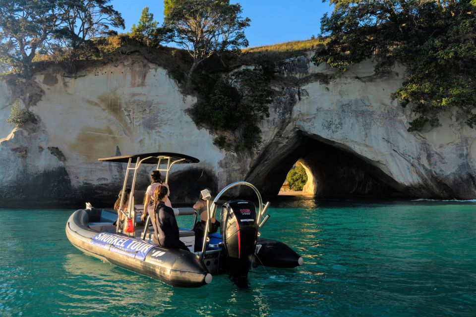 Cathedral Cove Marine Reserve- Specialised Snorkel Boat Trip - Experience