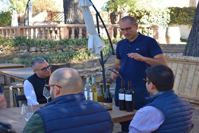 Cheese Factory Workshop With Wine Tasting in Requena, Valencia - Questions and Assistance