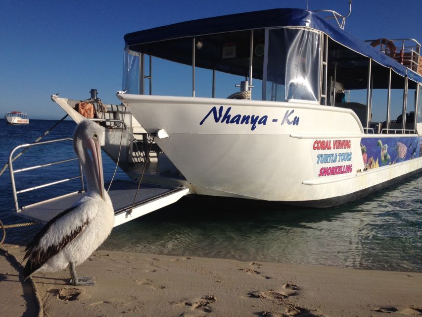 Coral Bay: Ningaloo Reef 3-Hour Turtle Ecotour - Reservation Information