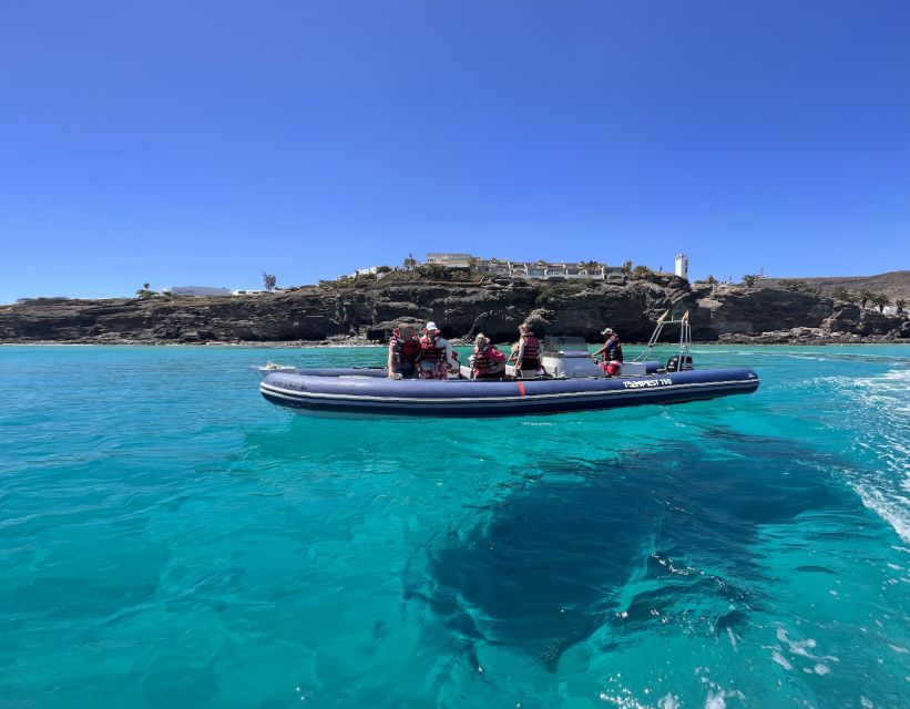 Costa Calma: Fuerteventura Dolphin Watching Zodiac Boat Tour - Experience Highlights