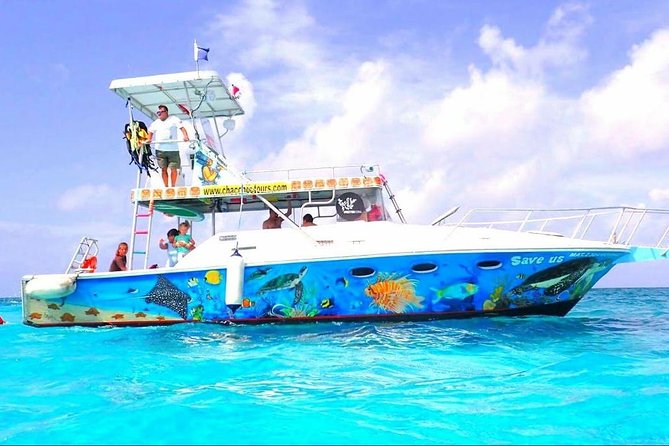 Cozumel Snorkeling Tour at Palancar & Colombia Reefs and El Cielo - Meeting and Departure Details