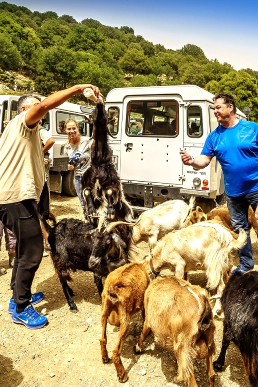 Crete: Land Rover Safari on Minoan Route - Language Options