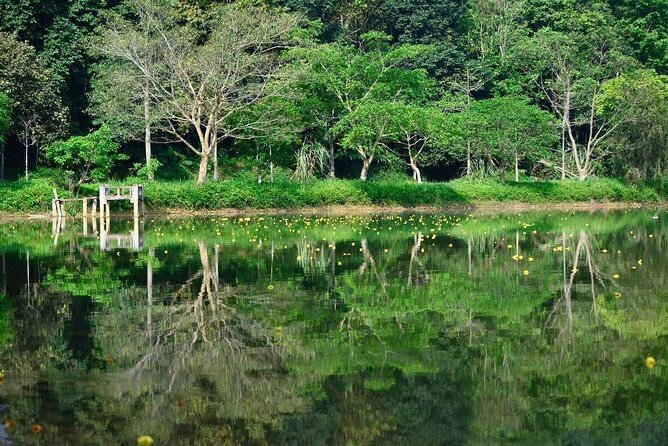 Cuc Phuong National Park Private Day Tour: Trekking & Primates - Wildlife Encounters