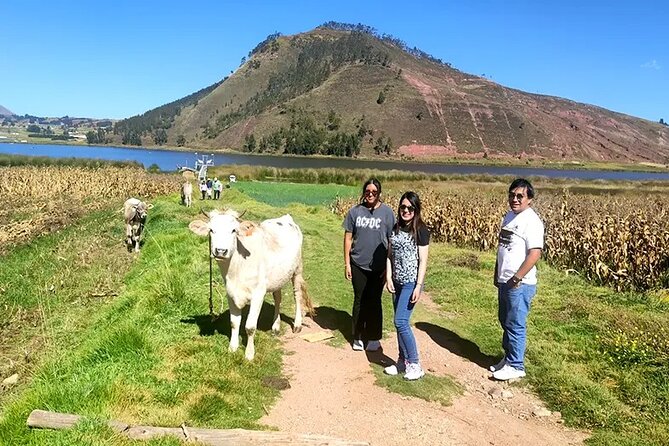 Cuzco, Peru Sacred Valley Culture and Adventure Tour on ATVs  - Cusco - Explore Maras Salt Pools