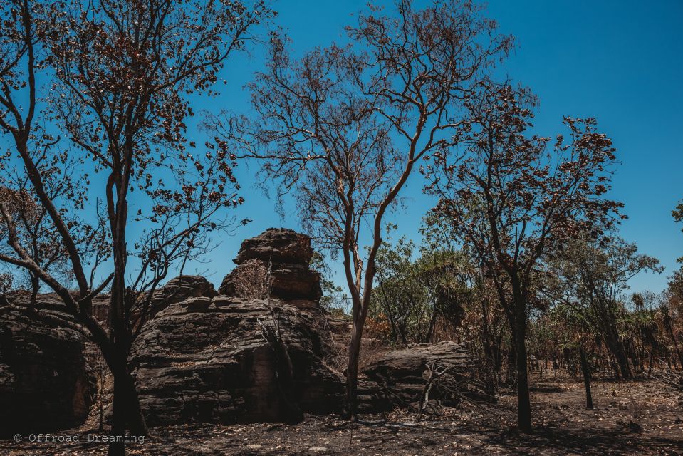 Darwin: Kakadu National Park Cultural Day Tour With Lunch - Tour Highlights