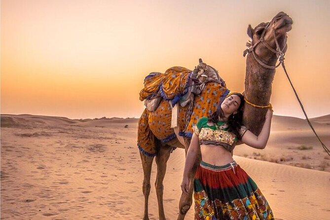 Dazzling Half Day Camel Safari Tour With Sunset - Itinerary Details