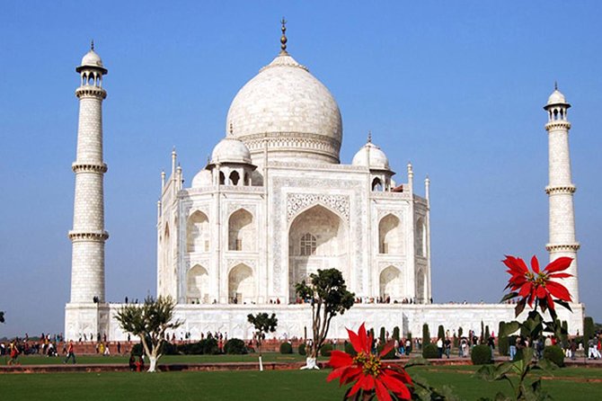 Delhi and Agra Private Combo Tour From Delhi - Traveler Reviews and Ratings