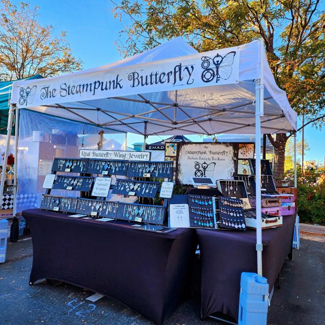 Denver Street Fairs - Summer Solstice - Essential Tips for Visitors