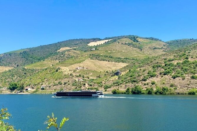 Douro Valley Private Tour: 2 Farms, Lunch & Boat Trip - Culinary Experience