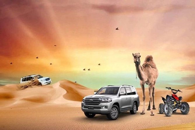 Dubai Afternoon Desert Safari (Kids Friendly ) - Transportation and Logistics