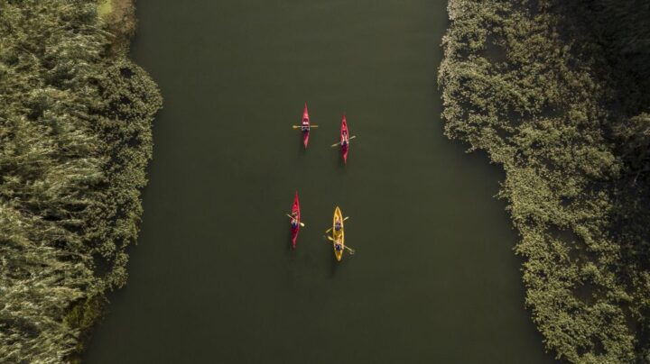 Ebro Delta: Guided Kayak Tour to Gracia Island - Tour Details and Inclusions