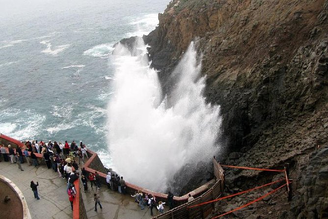 Ensenada Shore Excursion: Blowhole and La Bufadora Tour With Horseback Riding - Traveler Information and Reviews