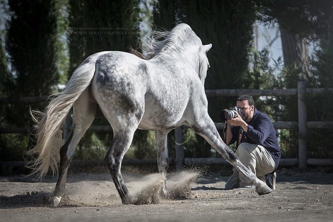 Equestrian Photography Class - Equipment Needed for Equestrian Photography