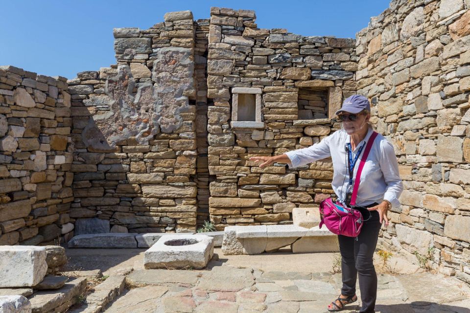 Explore Αncient Delos Tour - Tour Highlights and Activity Description