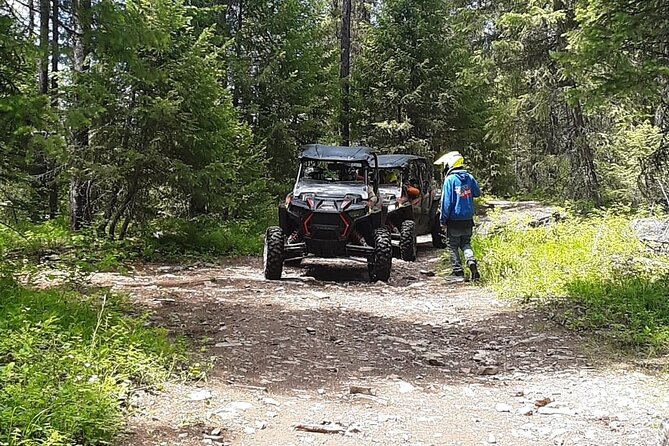 Falling for Montana Tour 4-seat RZR Full Day at Action Rentals MT - Full-Day 4-Seat RZR Rental Details