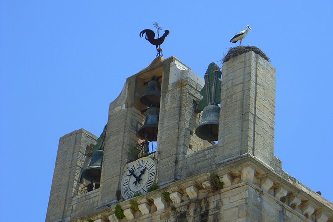 Faro Private Walking Tour With a Professional Guide - Viator Information