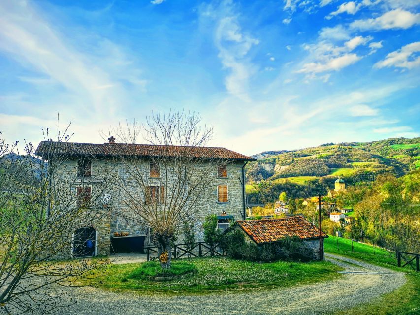 Forlì Hills: Eco-Friendly Cooking Class, Home-Made Pasta - Sustainable Ingredients Selection